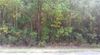 829 Oliver Rd photo